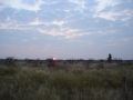dsc01247_web Sunrise over Ghanzi