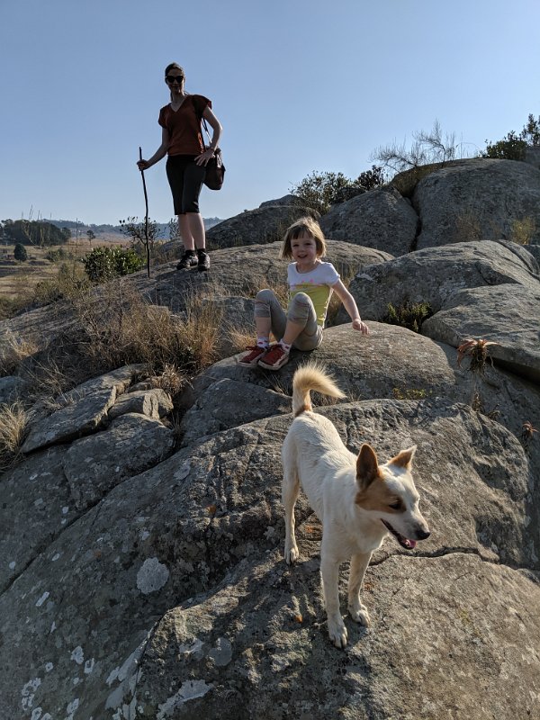 IMG_20190816_151851.jpg - Our fleabitten hiking buddy
