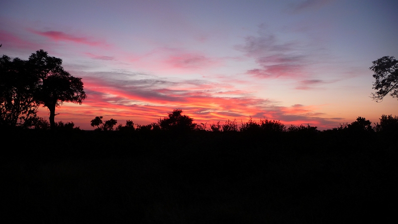 p1030726.jpg - African sunrise