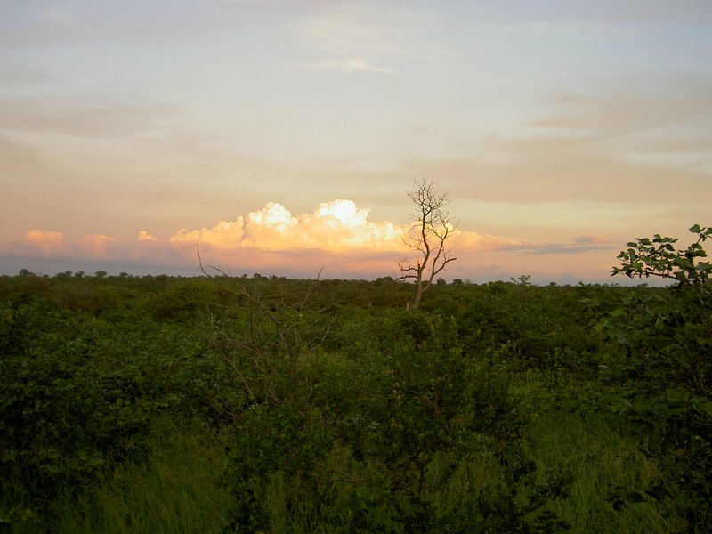 ingwelala24.jpg - Thunderstorm in the distance as the sun goes down