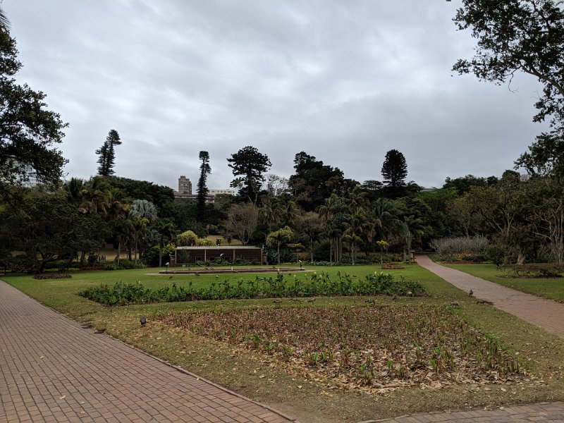 IMG_20190808_114046.jpg - Durban Botanic Gardens