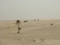tunisia0042 White Sahara sands, Douz