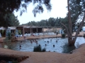 tunisia0064 Hot springs, Ksar Ghilane oasis