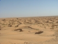 tunisia0067 Red Sahara sands near Ksar Ghilane