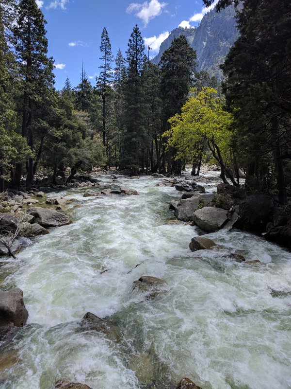 IMG_20170517_130024.jpg - Lower Yosemite falls