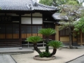 dsc00461 Shofukuji Temple grounds