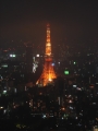 dsc00069 Tokyo tower at night