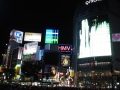 dsc00104 Shibuya at night - 'nuff neon?
