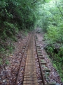 dsc00310 Old logging railway line