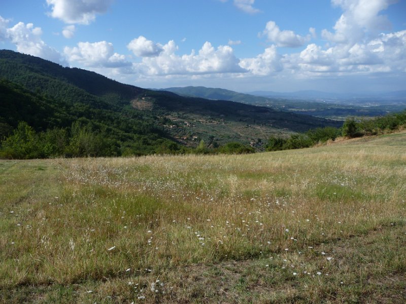 P1060237.JPG - Flowers and hills of Cavriglia