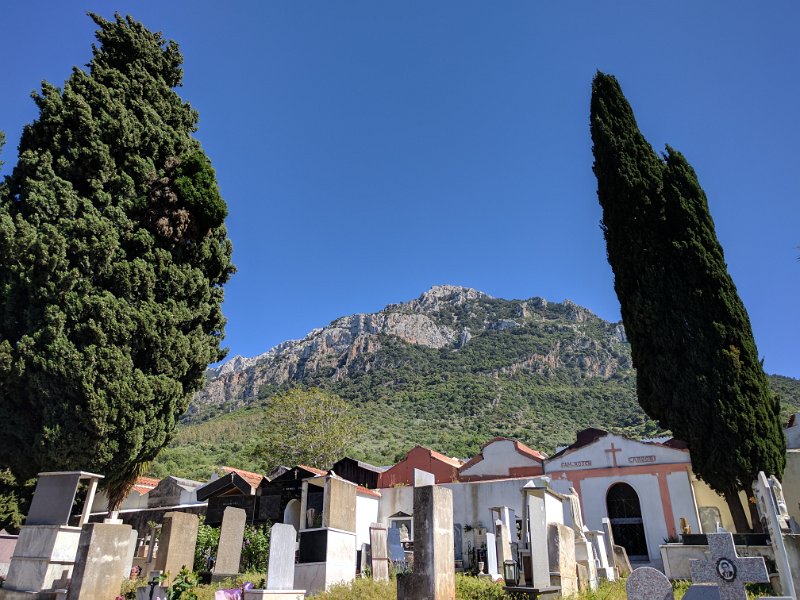 IMG_20170418_152039.jpg - Graveyard with traditional Mediterranean Cypress trees