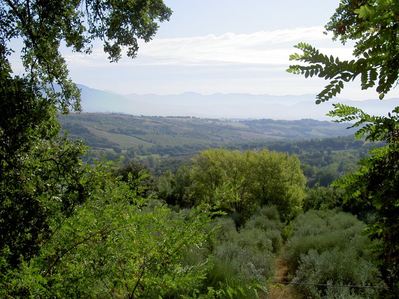 PICT3665.JPG - Umbrian countryside