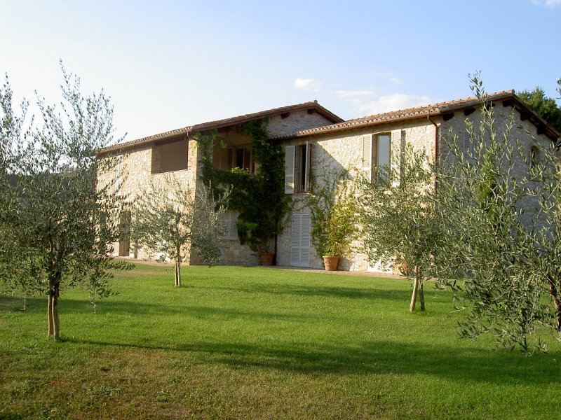PICT3703.JPG - House with olive trees