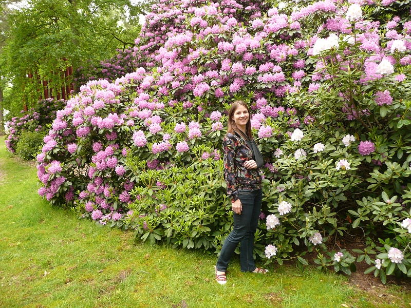 p1000576.jpg - Rosa and the Rhododendrons