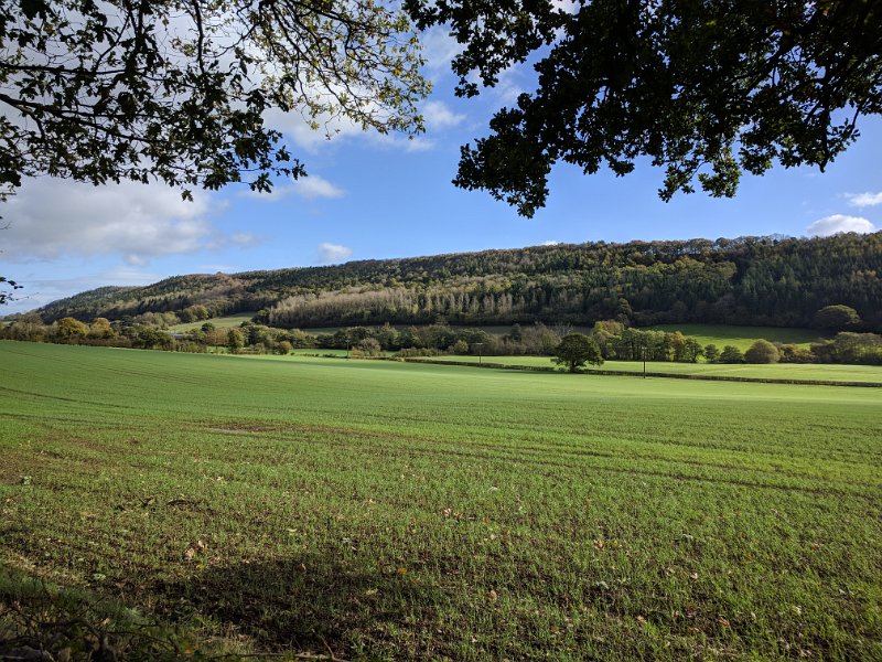 IMG_20171022_121222.jpg - Green fields of Shropshire
