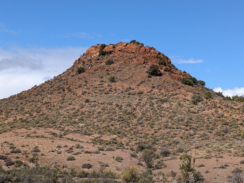 PXL_20240828_115945436.jpg - 'n mooi koppie in die Klein Karoo