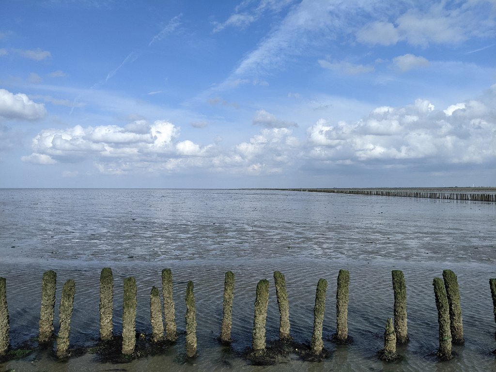 PXL_20210808_152258846.jpg - North Sea at low tide