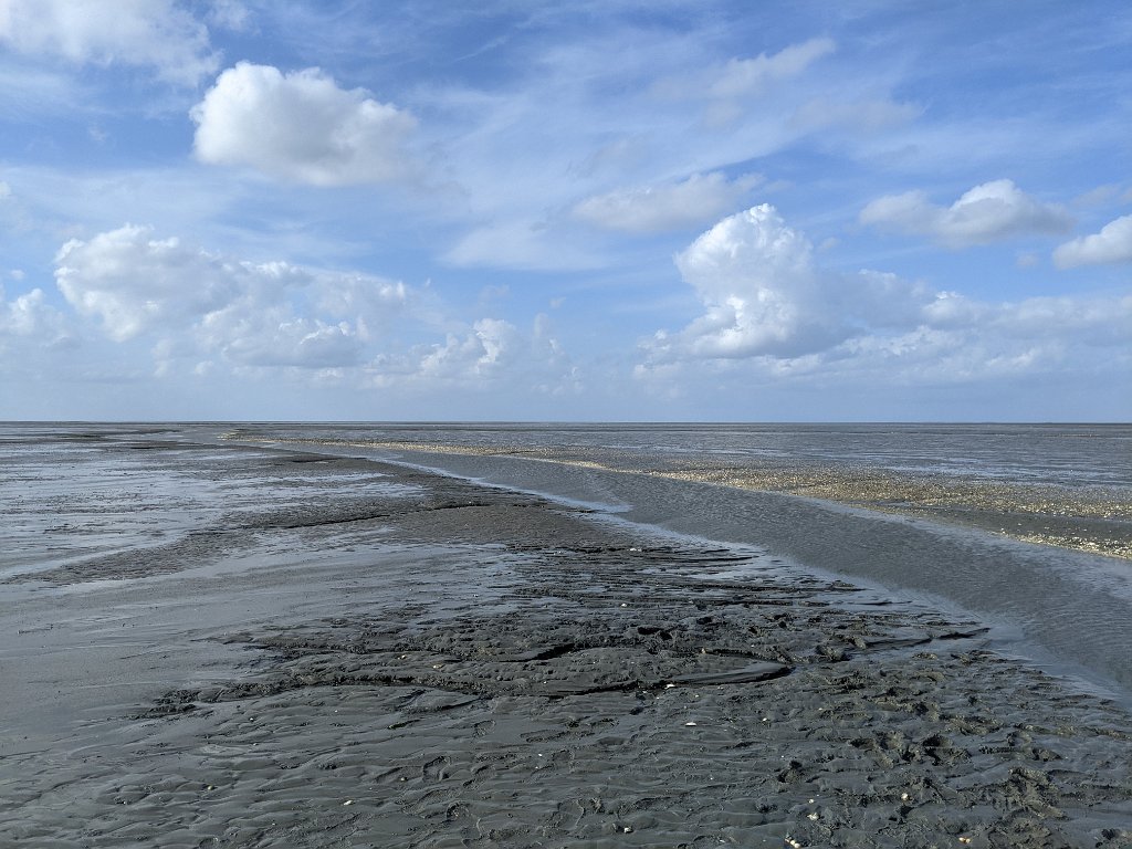 PXL_20210808_155141590.jpg - North Sea at low tide