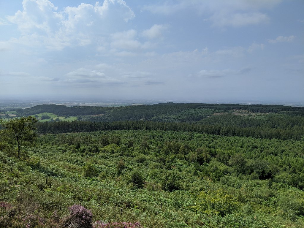 IMG_20200809_135350.jpg - North York Moors